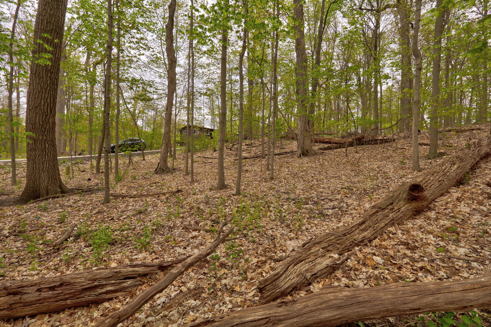 Lt 17-18 Forest Drive