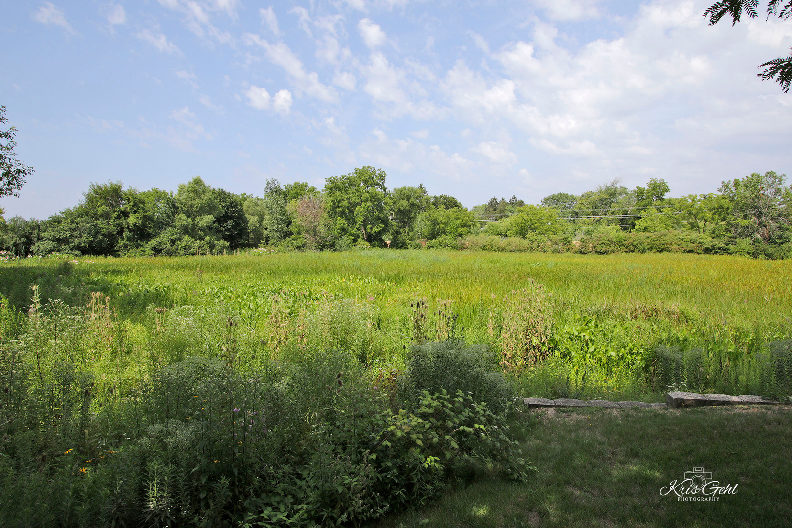 200 Rosehall Drive S Unit: 200