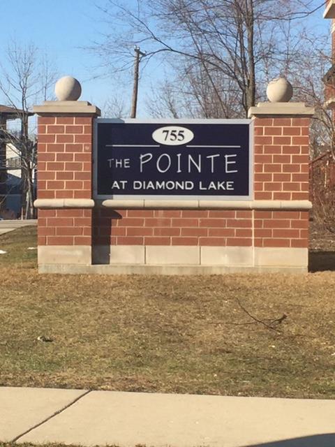 755 DIAMOND LAKE Road Unit: 208