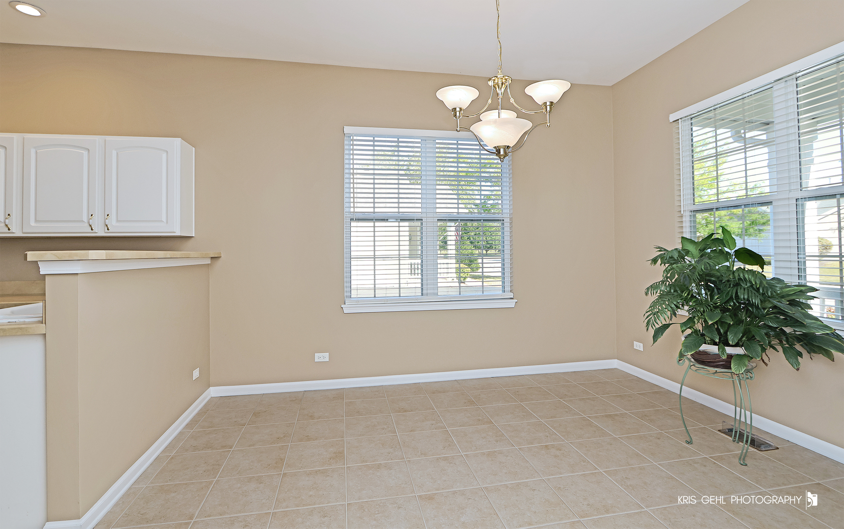 39582 N Cambridge Boulevard