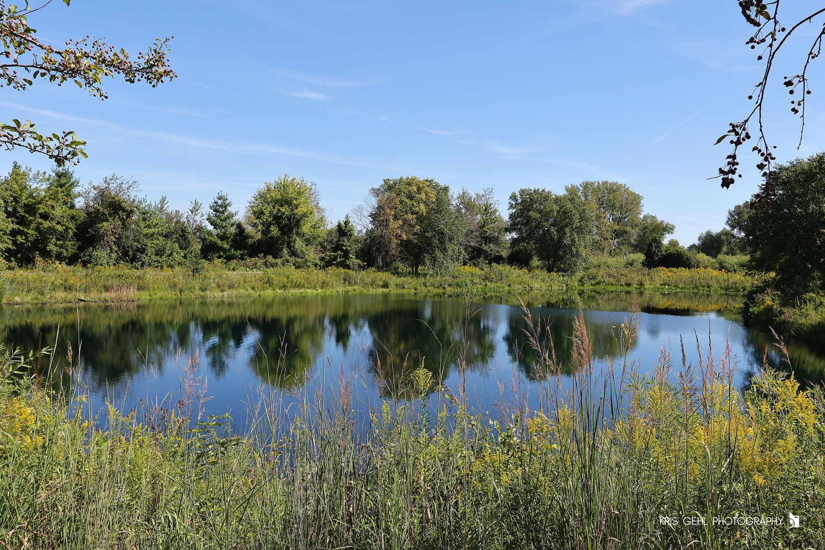 39582 N Cambridge Boulevard