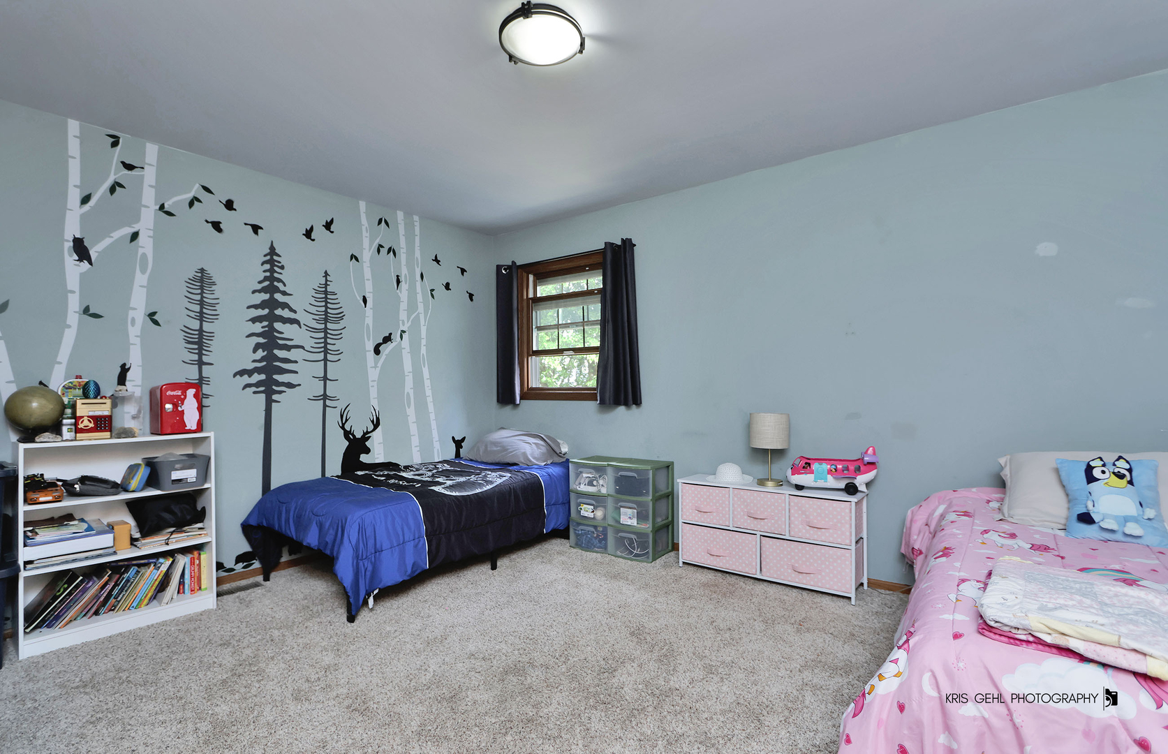 1509 N Denali Trail