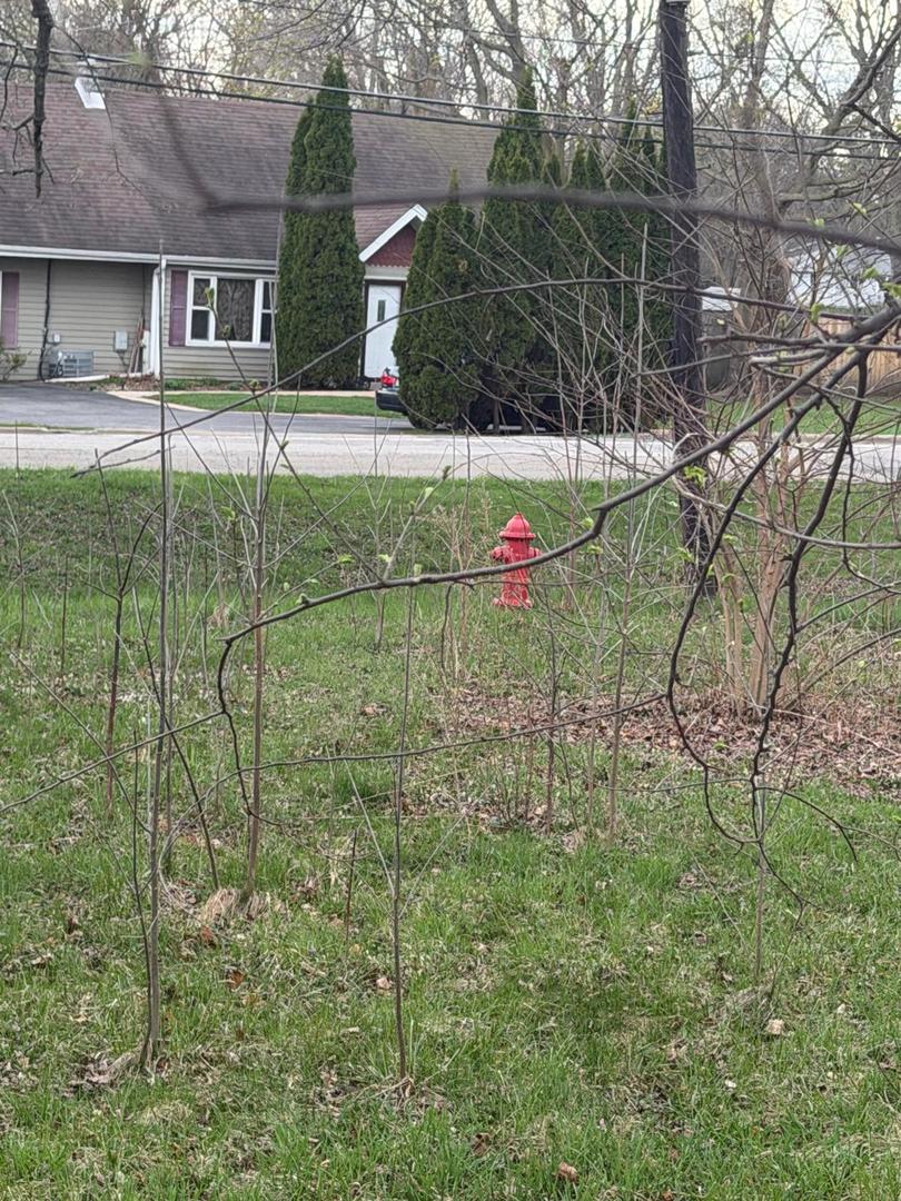 10802 W York House Road