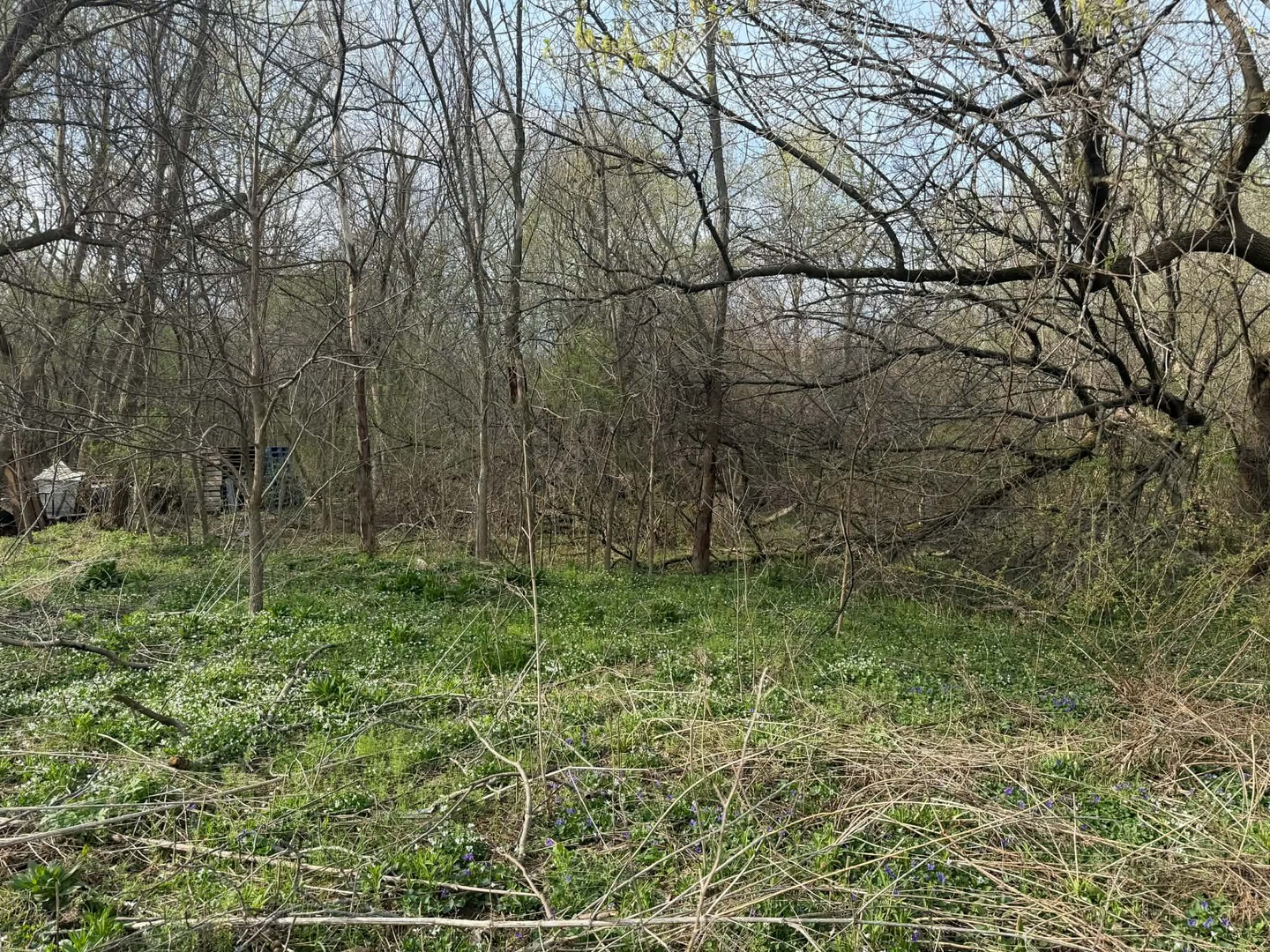 10802 W York House Road