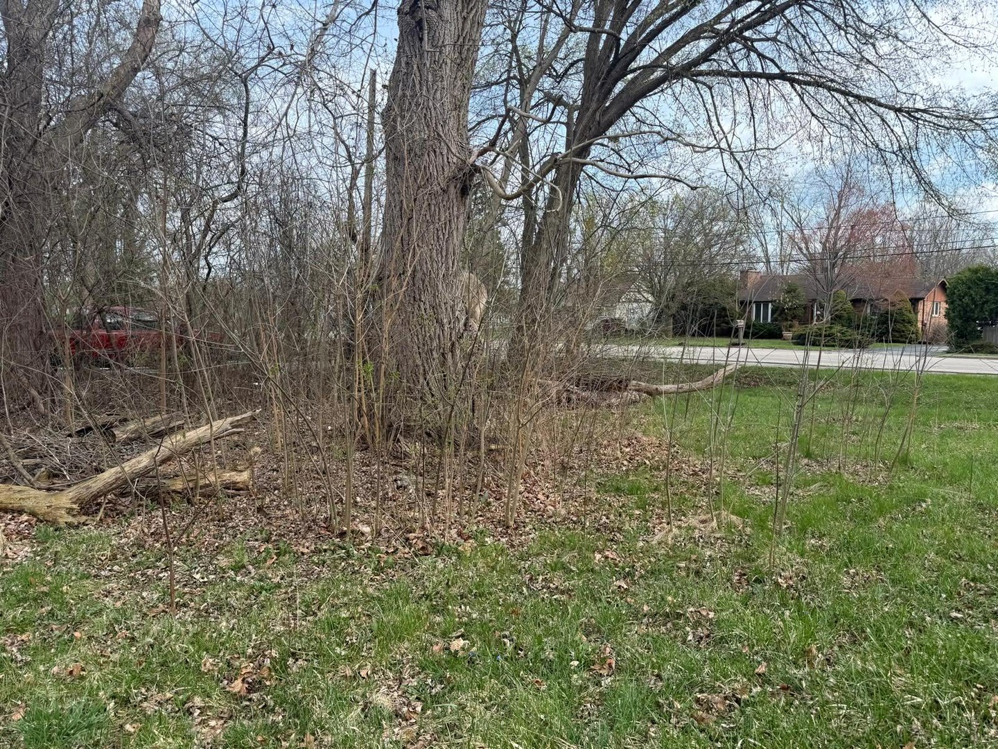 10802 W York House Road