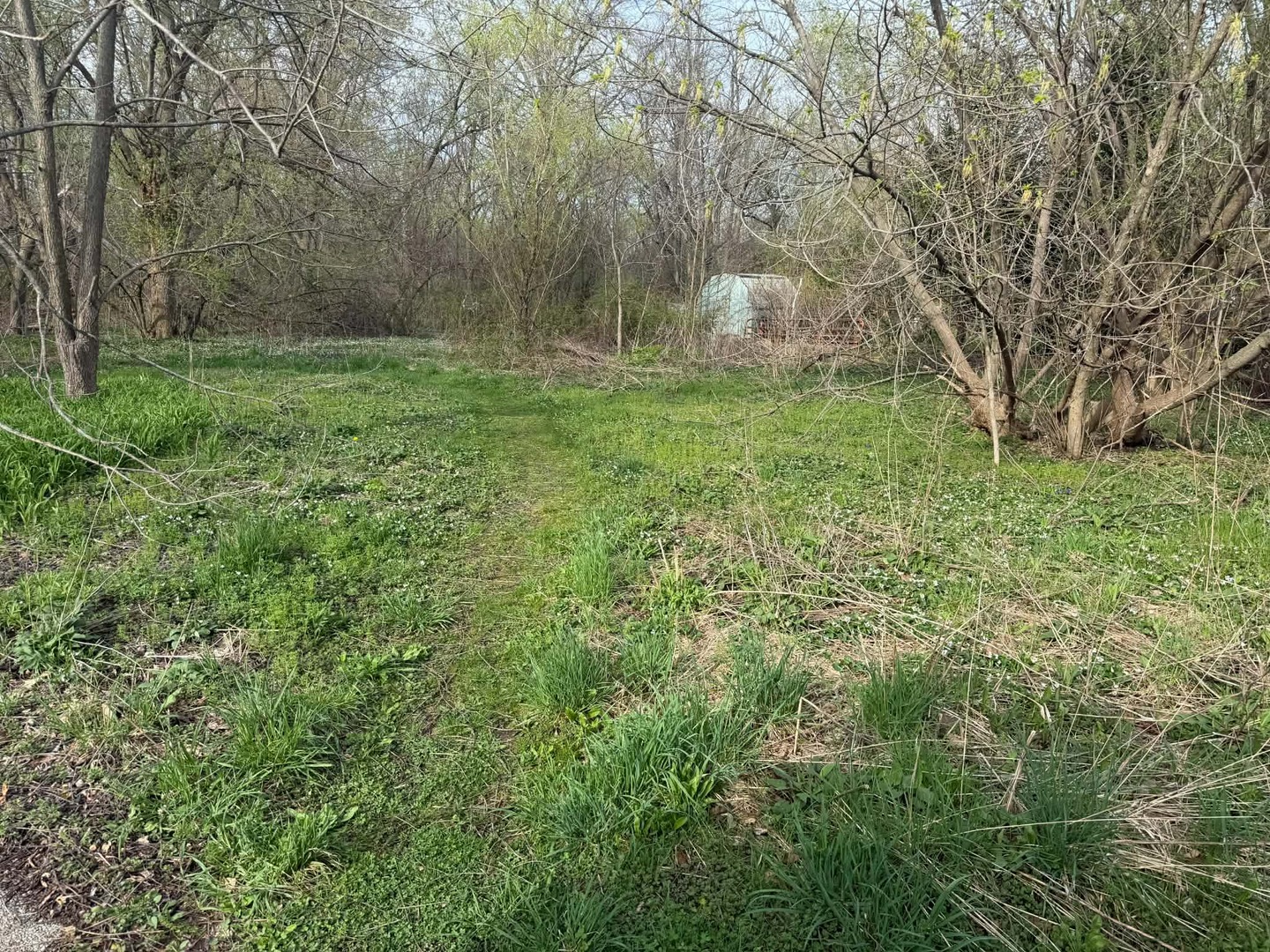 10802 W York House Road