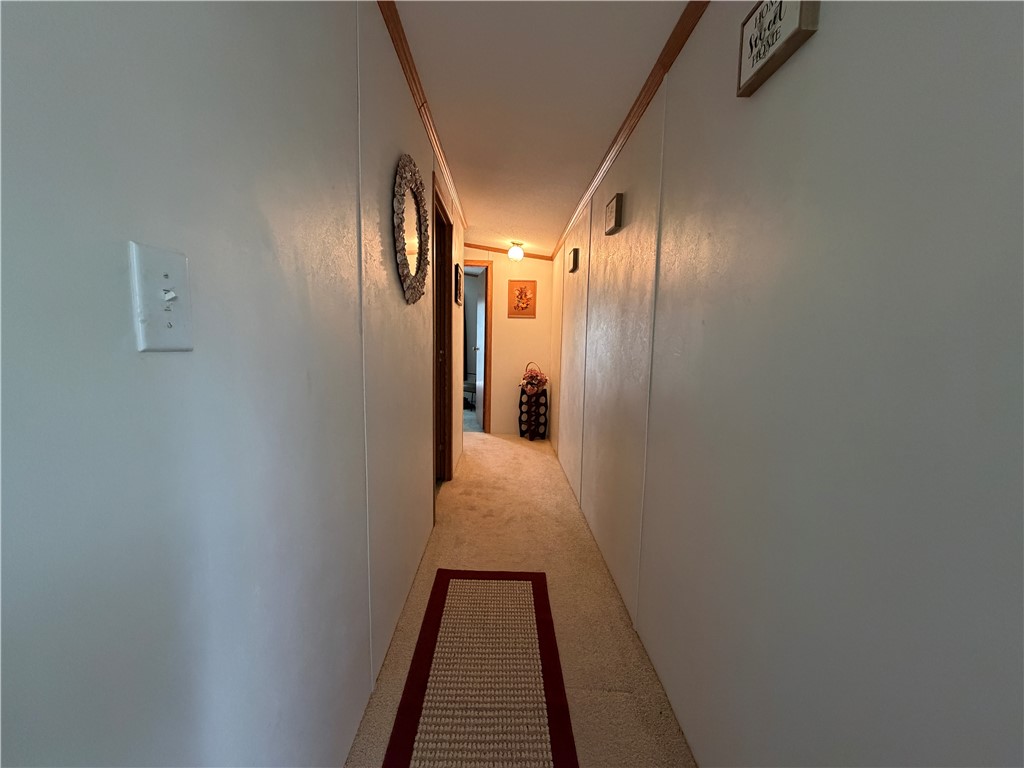 8199 County Road 131
