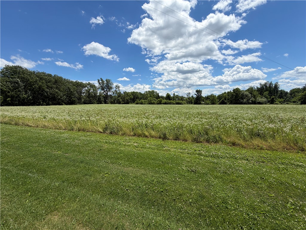 8199 County Road 131