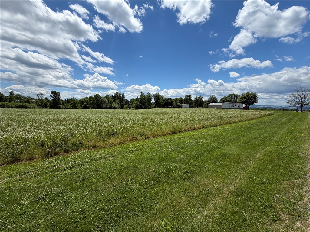 8199 County Road 131