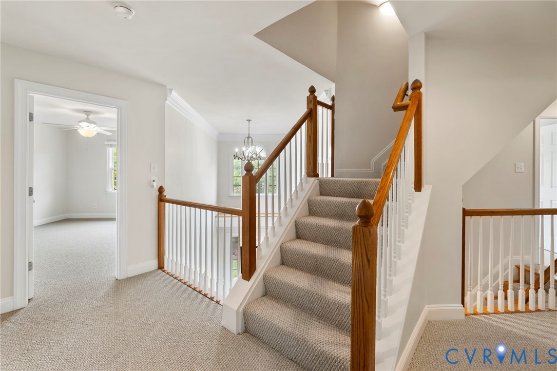 11717 Lincolnshire Ct