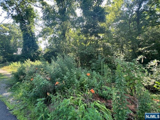 9 Old Woodland Trail