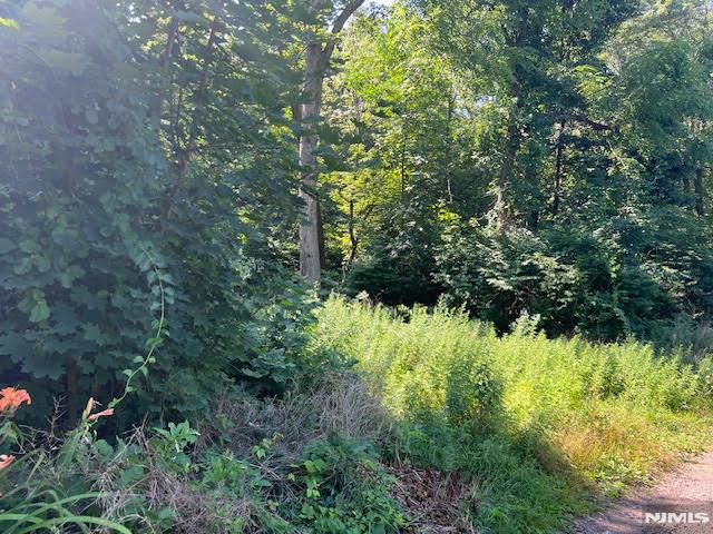 9 Old Woodland Trail