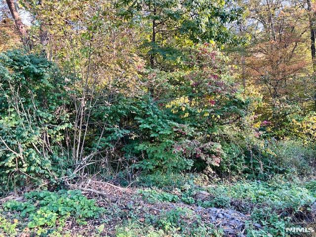 9 Old Woodland Trail