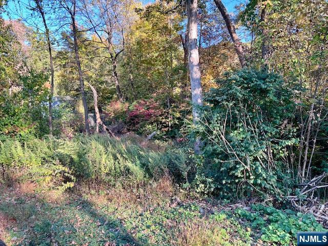 9 Old Woodland Trail