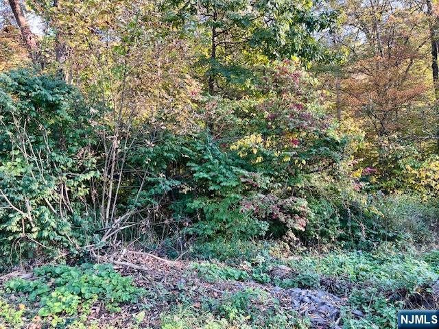 9 Old Woodland Trail