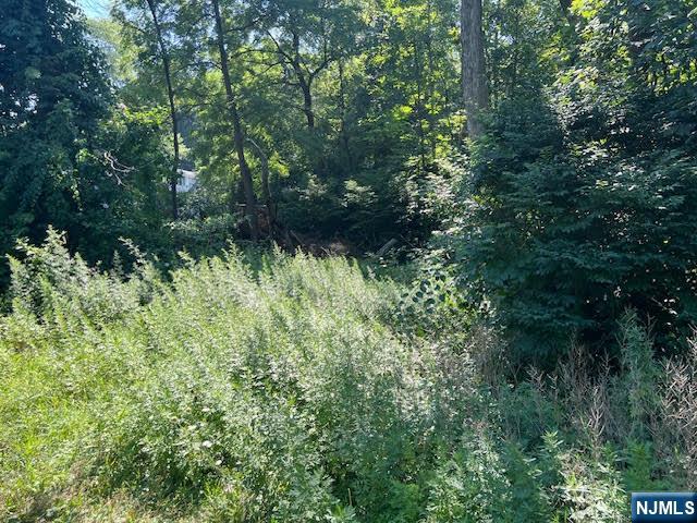 9 Old Woodland Trail