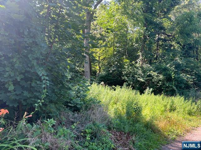 9 Old Woodland Trail