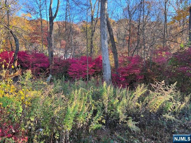 9 Old Woodland Trail