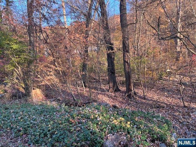 9 Old Woodland Trail