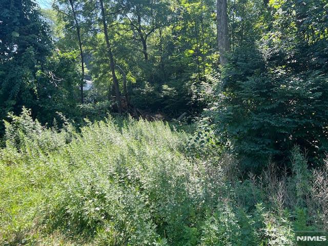 9 Old Woodland Trail