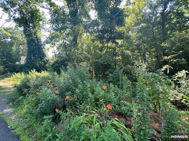 9 Old Woodland Trail