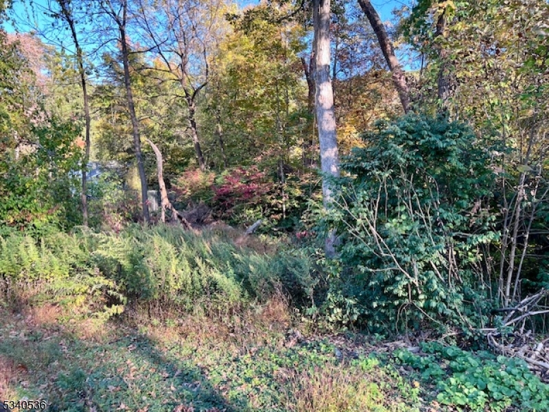 9 Old Woodland Trl