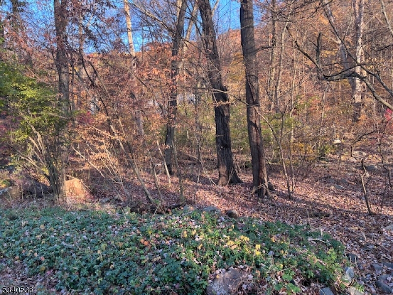 9 Old Woodland Trl