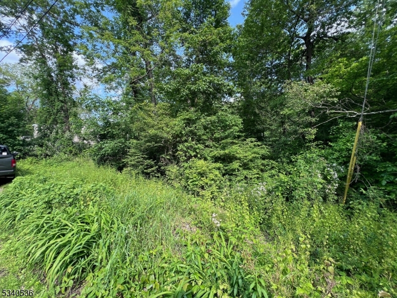 9 Old Woodland Trl