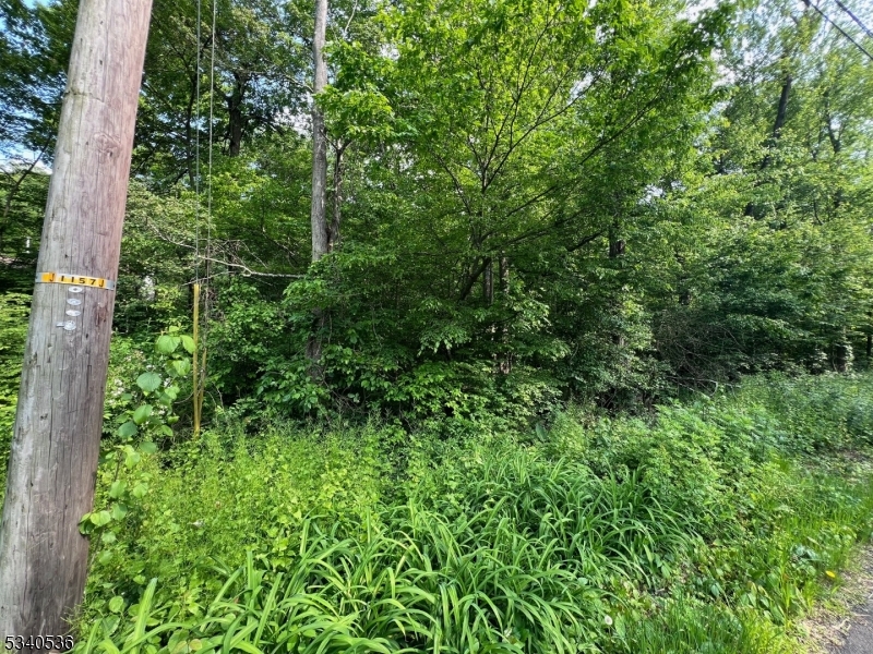 9 Old Woodland Trl