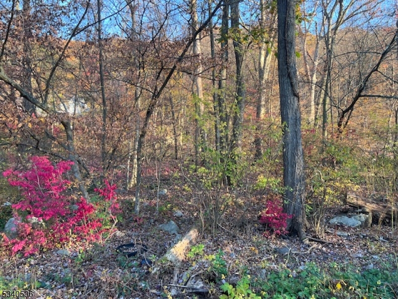 9 Old Woodland Trl