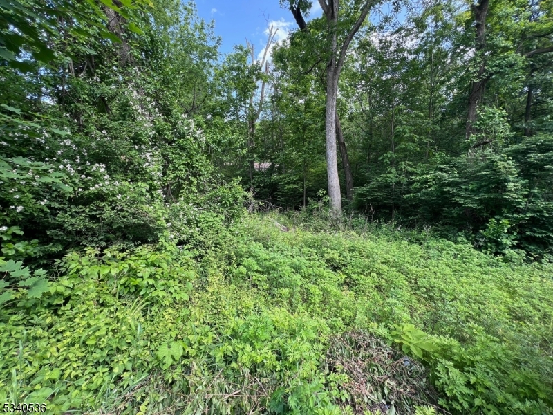 9 Old Woodland Trl