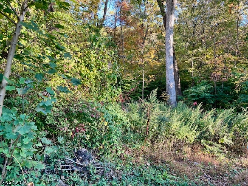 9 Old Woodland Trl