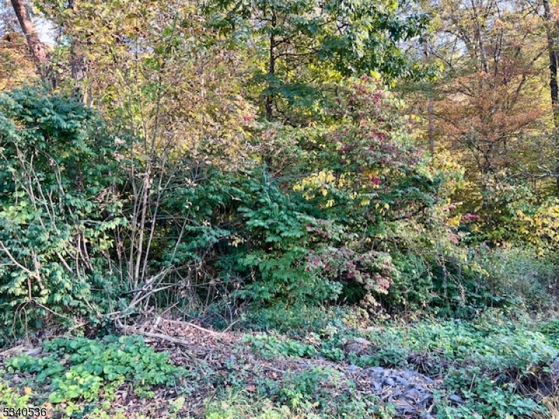 9 Old Woodland Trl