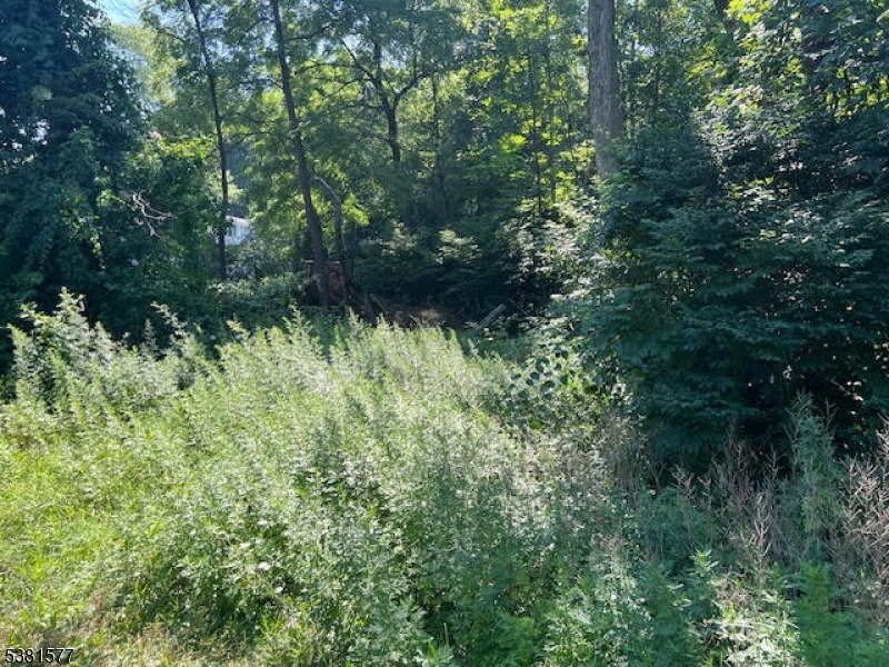 9 Old Woodland Trl