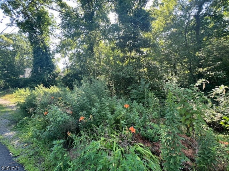 9 Old Woodland Trl