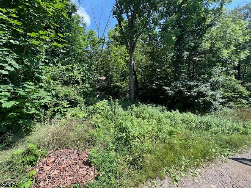 9 Old Woodland Trl