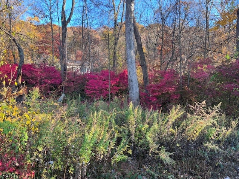9 Old Woodland Trl