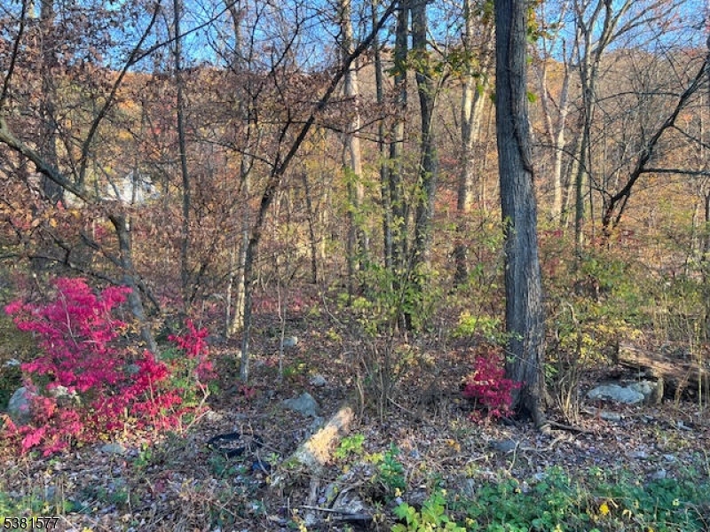 9 Old Woodland Trl