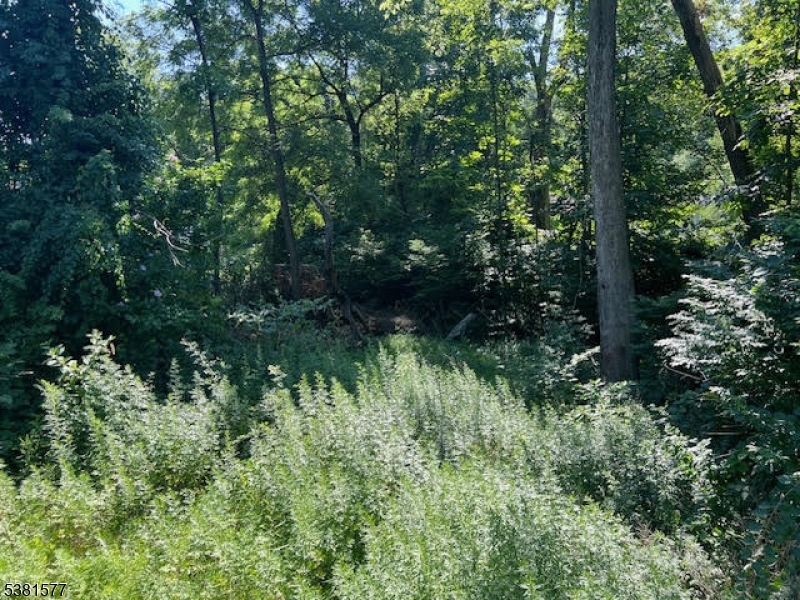 9 Old Woodland Trl