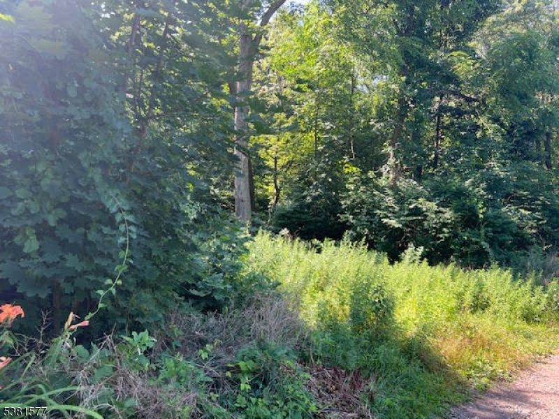 9 Old Woodland Trl