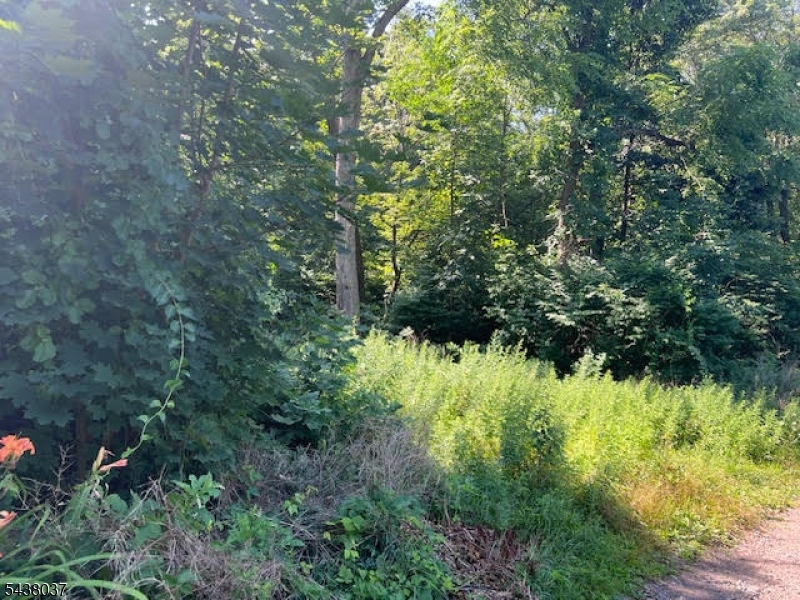 9 Old Woodland Trl