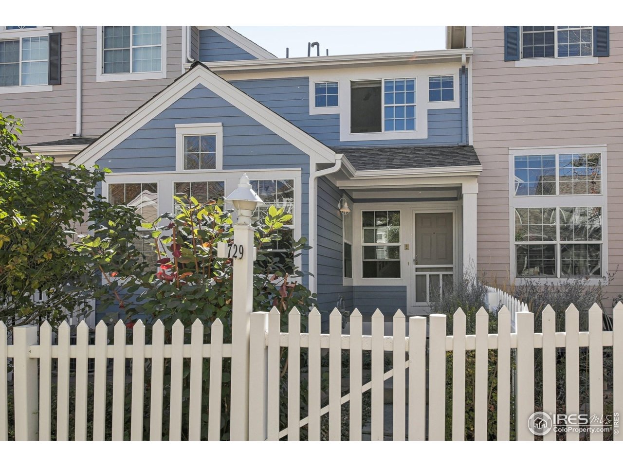 729 Snowberry St