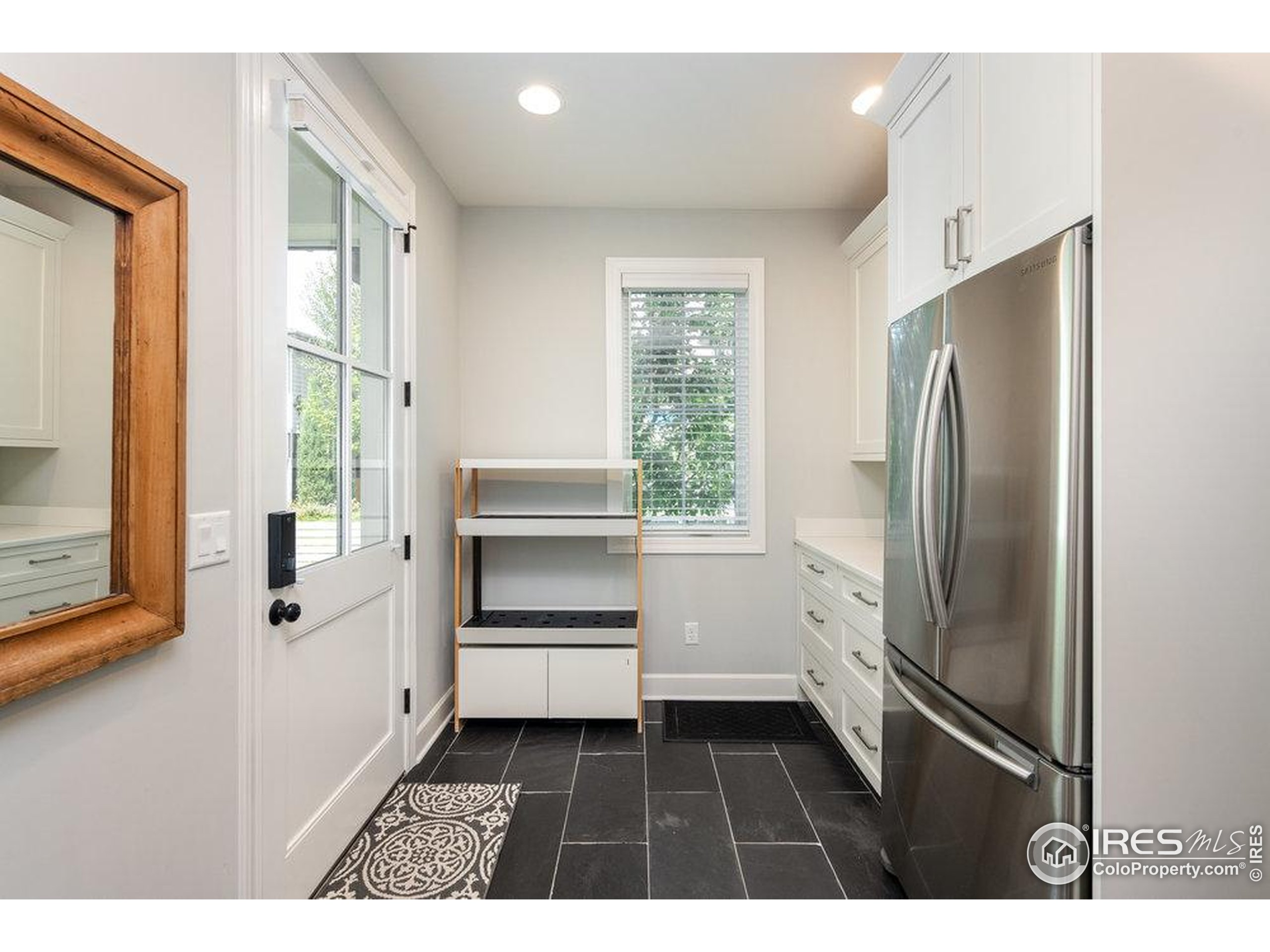 917 Neon Forest Cir