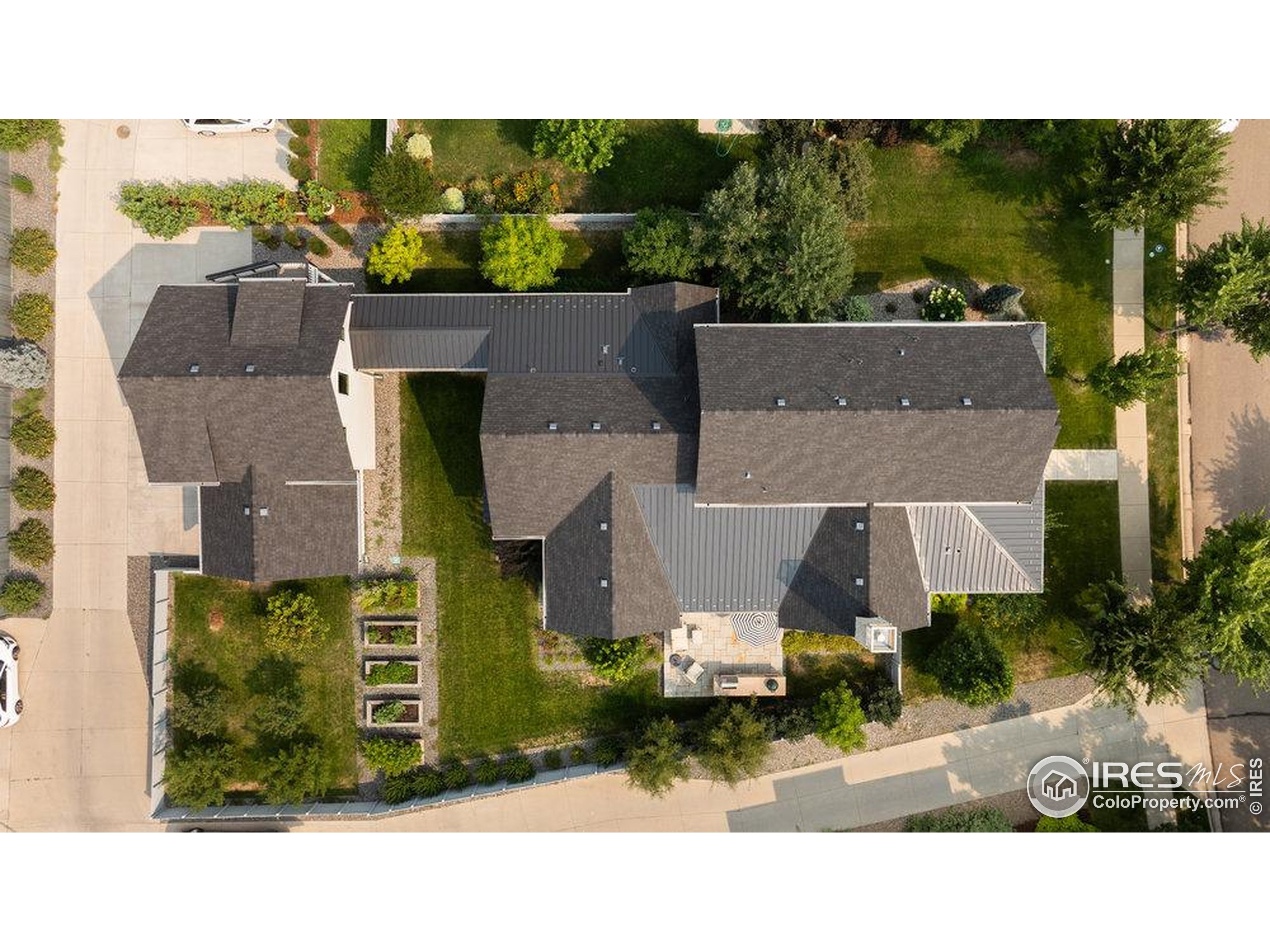 917 Neon Forest Cir