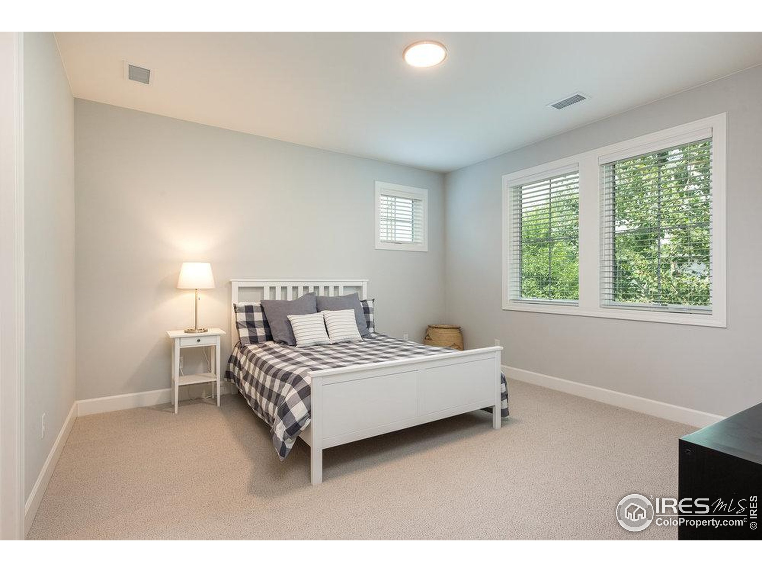917 Neon Forest Cir
