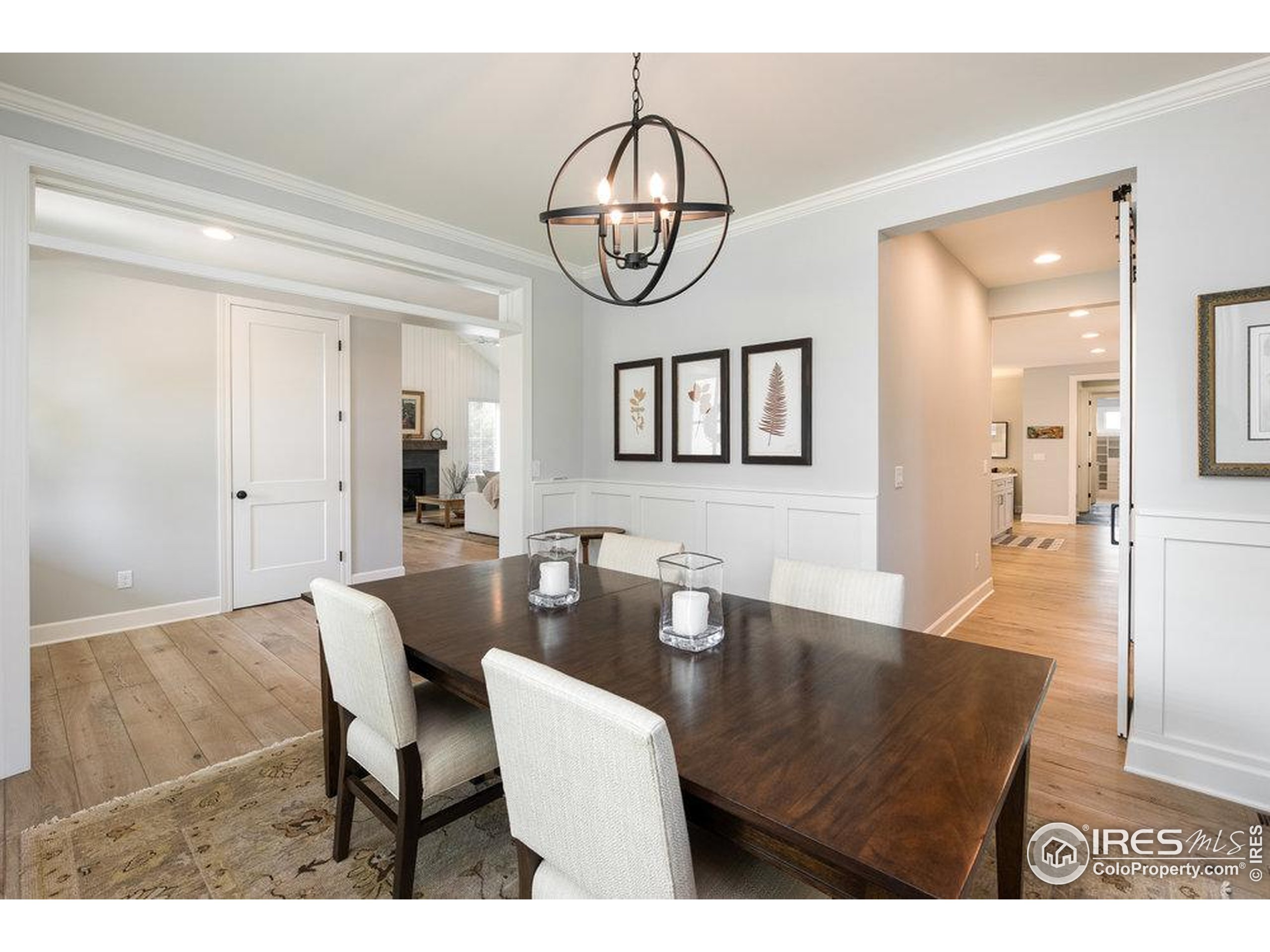 917 Neon Forest Cir