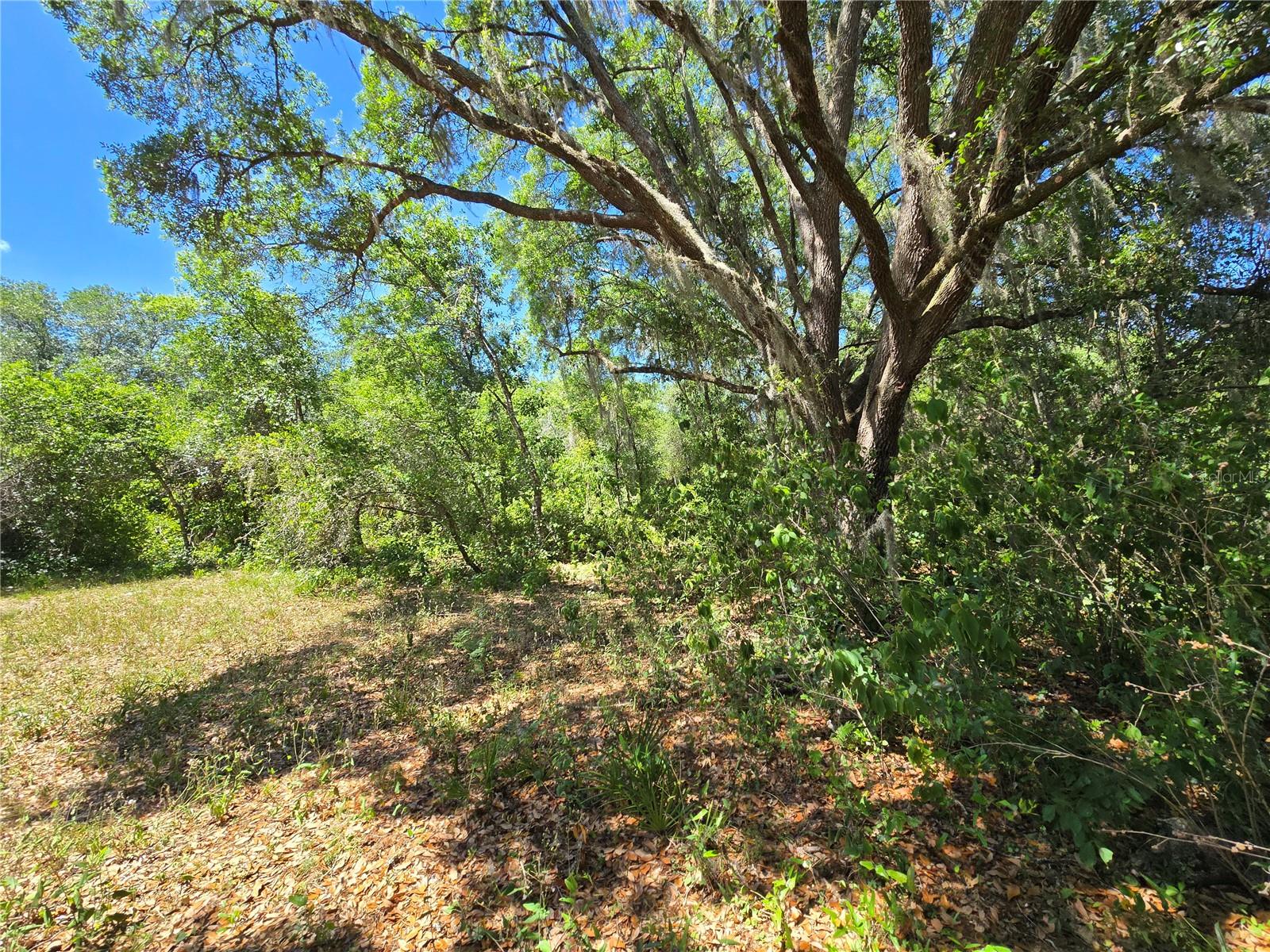 27137 MILLER RD