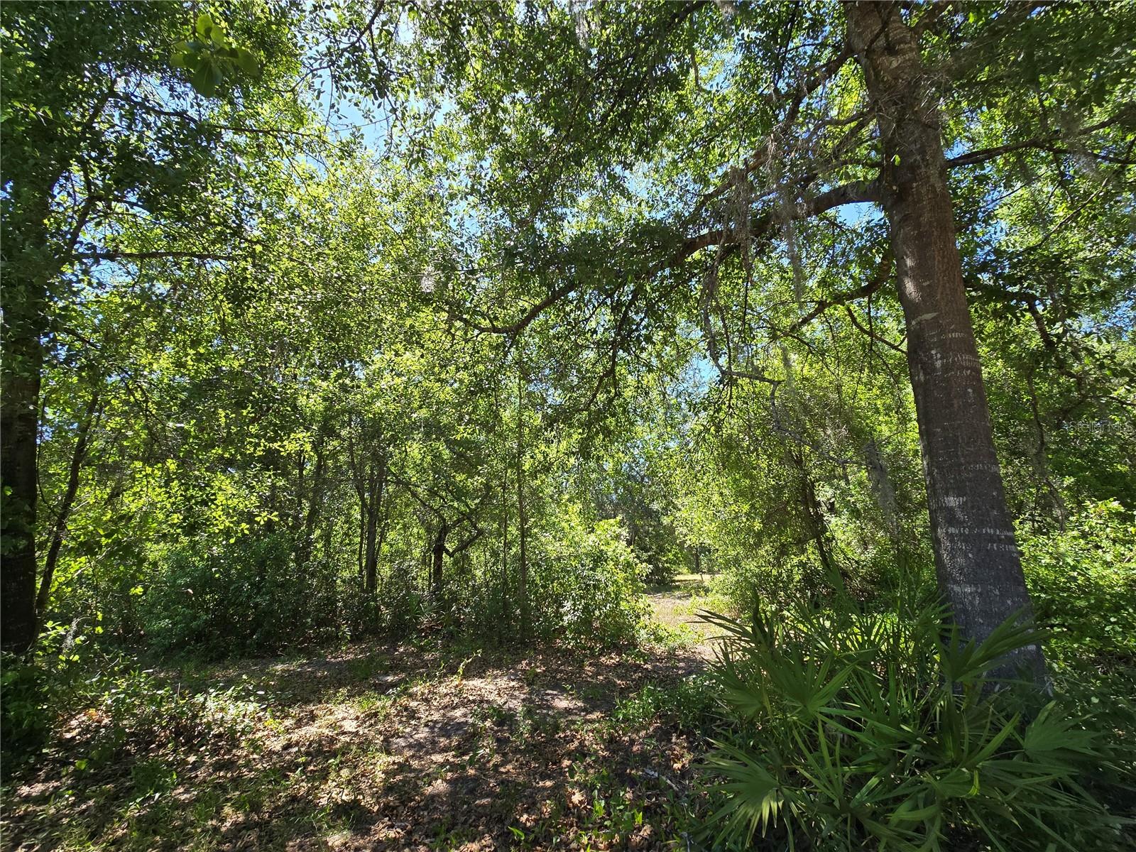 27137 MILLER RD