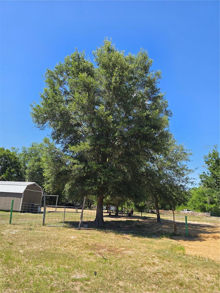 27137 MILLER RD
