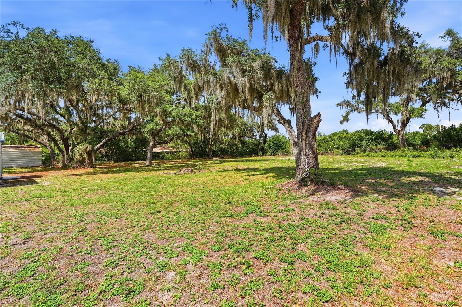 1006 ROBINSON RD